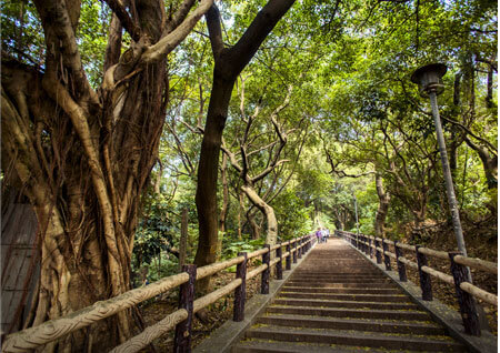 虎頭山公園